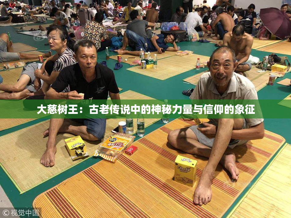 大慈树王：古老传说中的神秘力量与信仰的象征