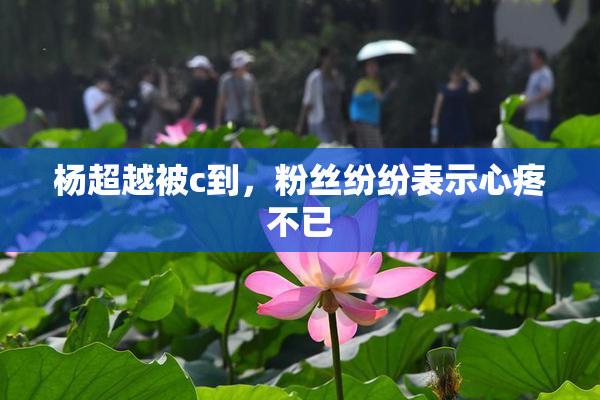 杨超越被c到，粉丝纷纷表示心疼不已
