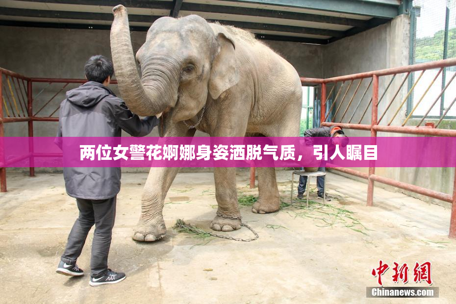 两位女警花婀娜身姿洒脱气质，引人瞩目