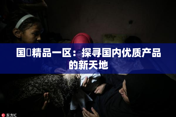 国產精品一区：探寻国内优质产品的新天地
