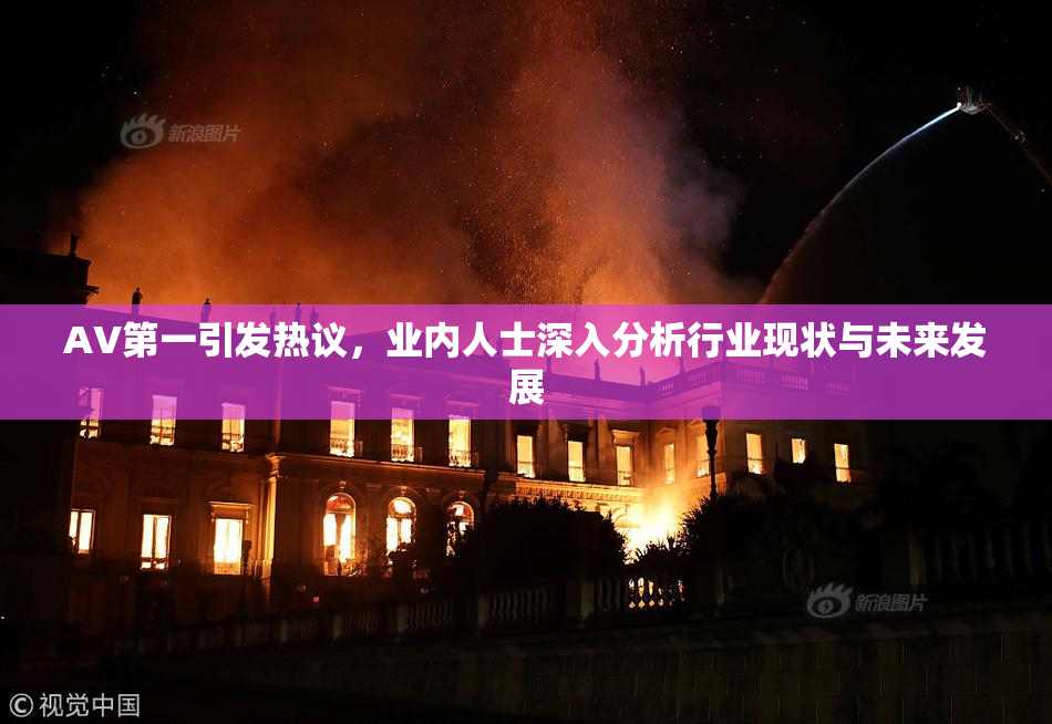 AV第一引发热议，业内人士深入分析行业现状与未来发展
