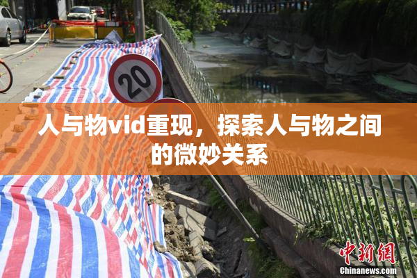 人与物vid重现，探索人与物之间的微妙关系