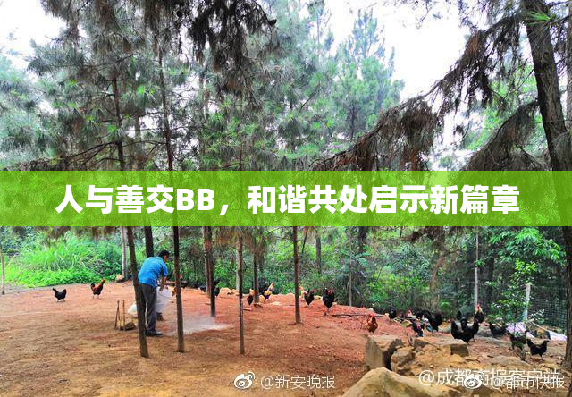 人与善交BB，和谐共处启示新篇章