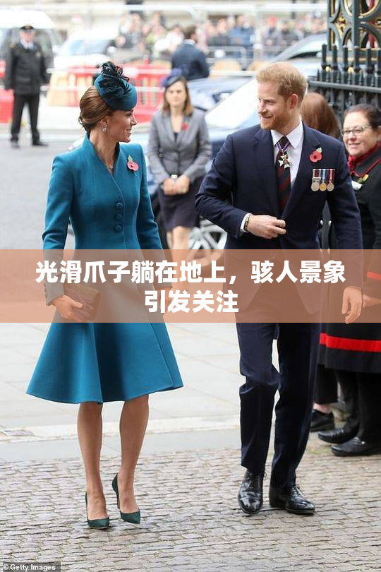 光滑爪子躺在地上，骇人景象引发关注