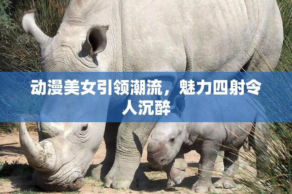 动漫美女引领潮流，魅力四射令人沉醉