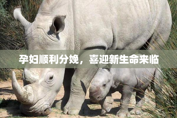 孕妇顺利分娩，喜迎新生命来临