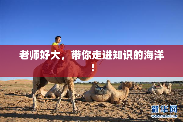 老师好大，带你走进知识的海洋！