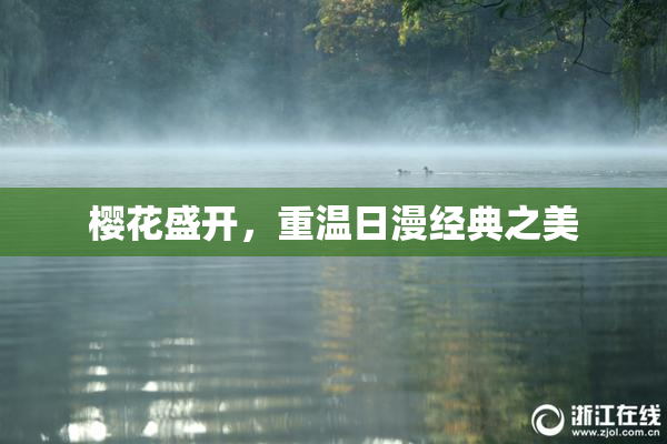 樱花盛开，重温日漫经典之美