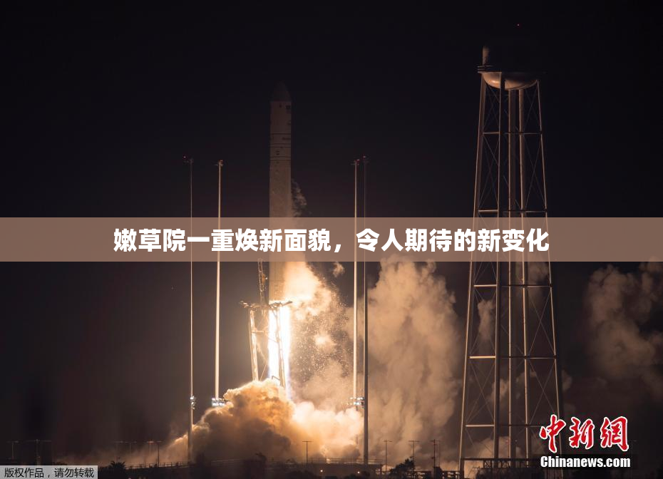 嫩草院一重焕新面貌，令人期待的新变化