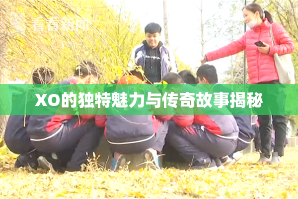 XO的独特魅力与传奇故事揭秘