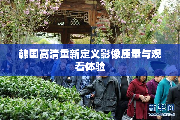 韩国高清重新定义影像质量与观看体验