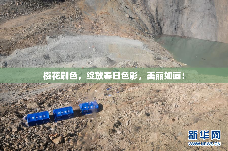 樱花刷色，绽放春日色彩，美丽如画！