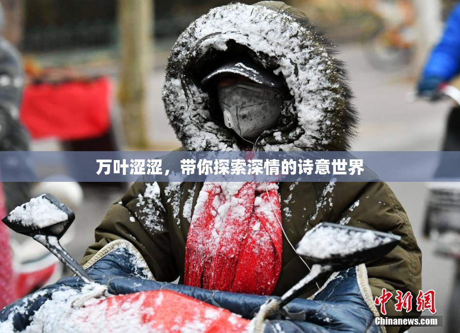 万叶涩涩，带你探索深情的诗意世界