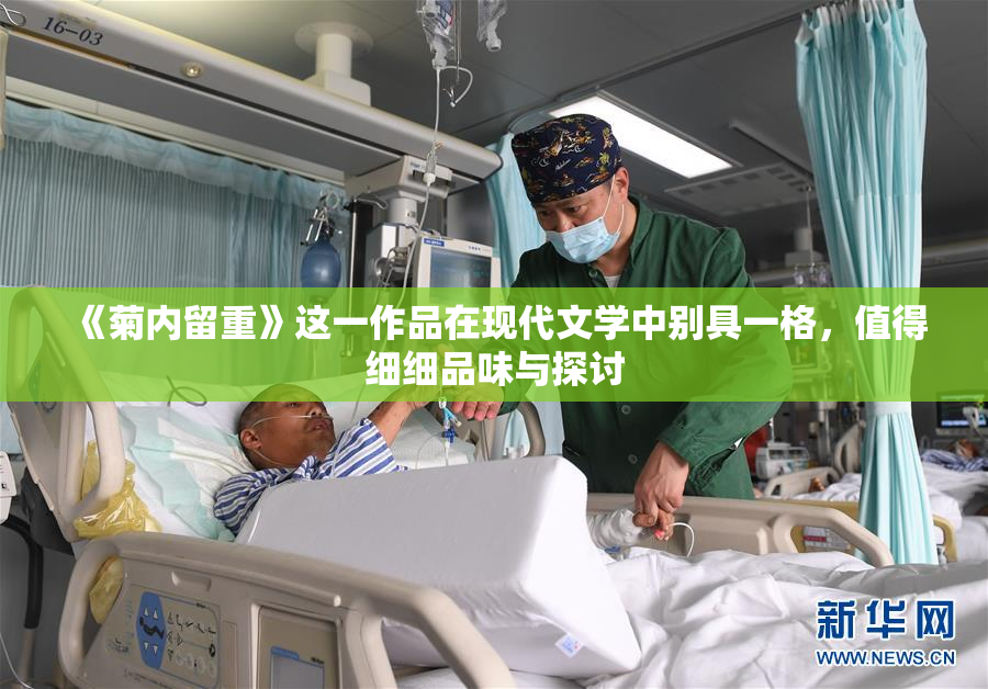 《菊内留重》这一作品在现代文学中别具一格，值得细细品味与探讨