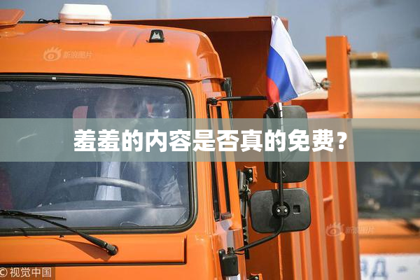 羞羞的内容是否真的免费？
