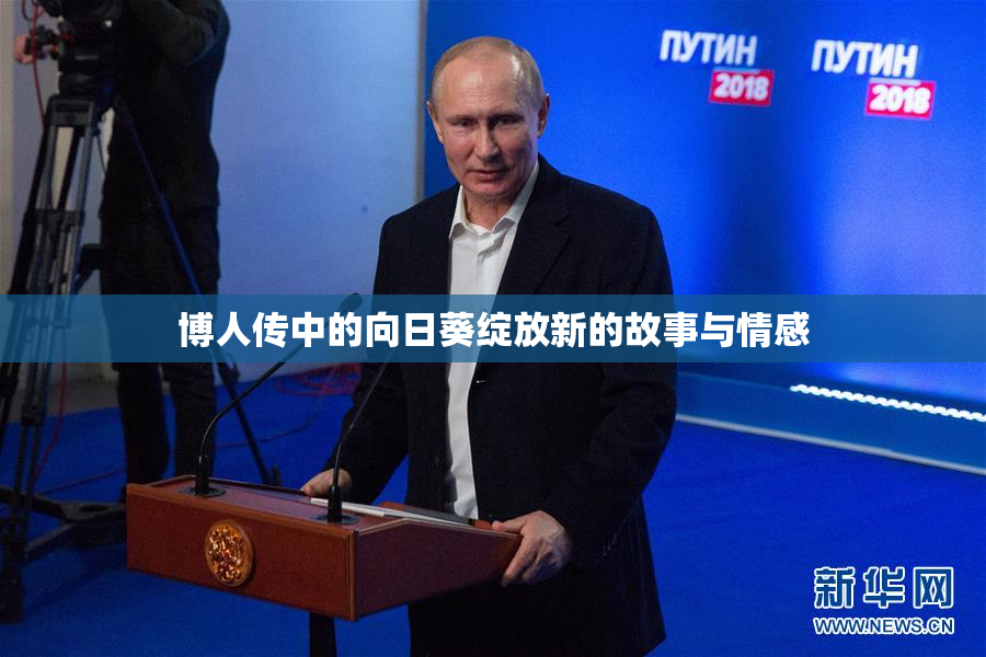 博人传中的向日葵绽放新的故事与情感