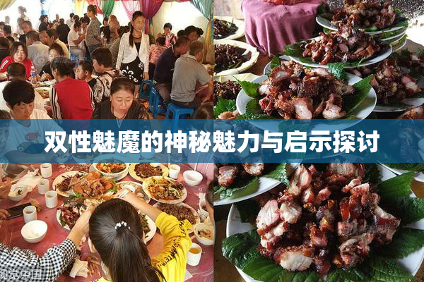 双性魅魔的神秘魅力与启示探讨