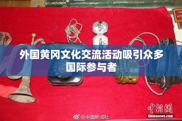 外国黄冈文化交流活动吸引众多国际参与者