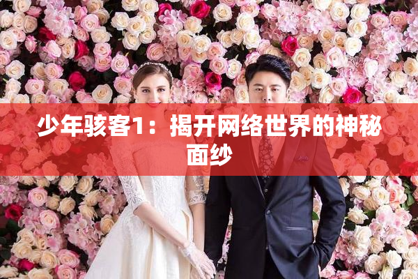 少年骇客1：揭开网络世界的神秘面纱
