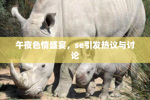午夜色情盛宴，se引发热议与讨论