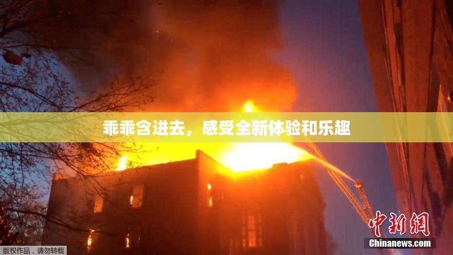 乖乖含进去，感受全新体验和乐趣