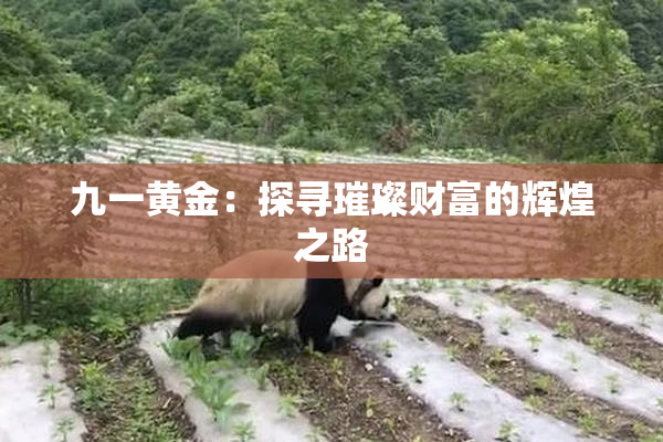 九一黄金：探寻璀璨财富的辉煌之路