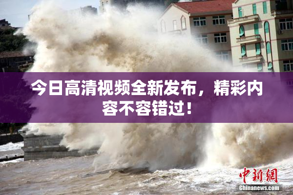 今日高清视频全新发布，精彩内容不容错过！