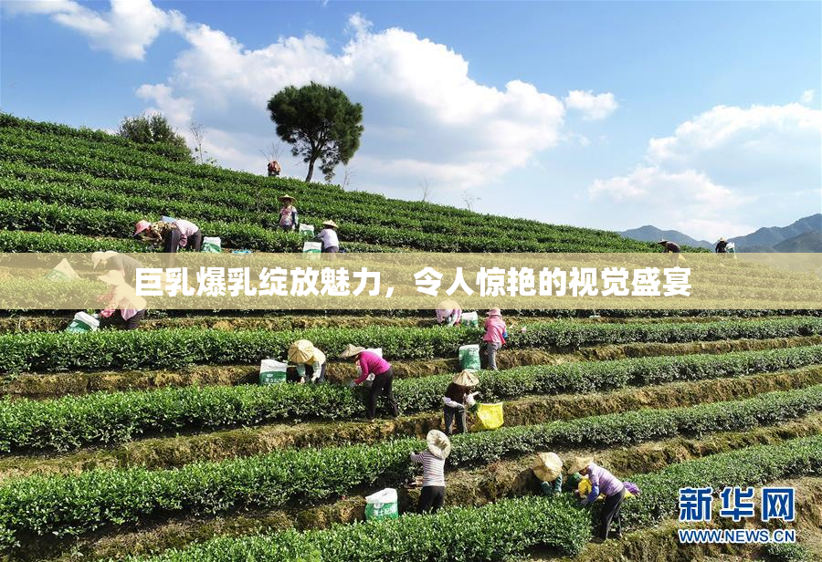 巨乳爆乳绽放魅力，令人惊艳的视觉盛宴