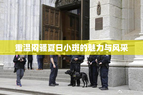 重温闷骚夏日小斑的魅力与风采