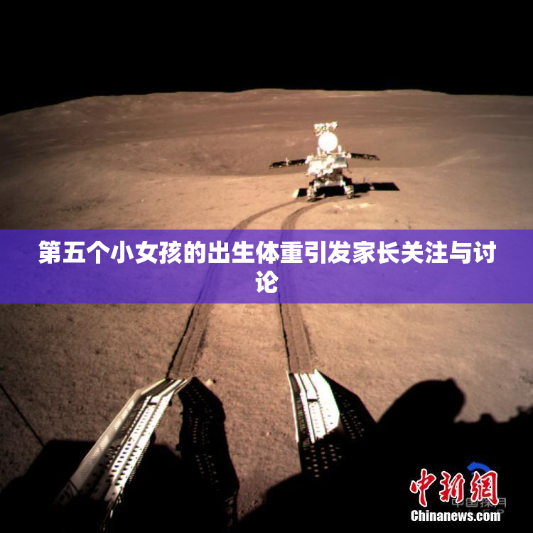 第五个小女孩的出生体重引发家长关注与讨论