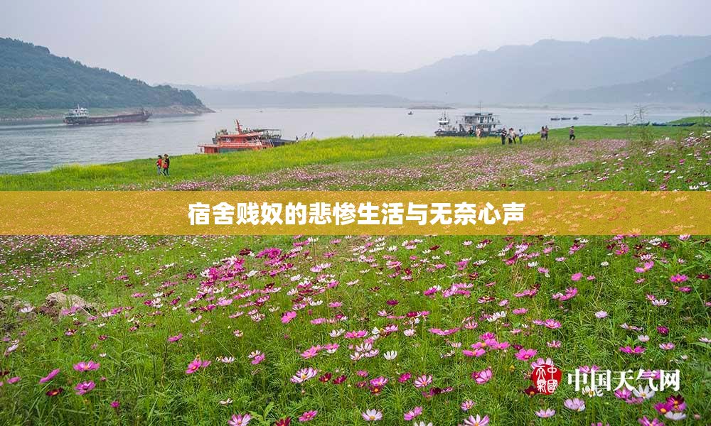 宿舍贱奴的悲惨生活与无奈心声