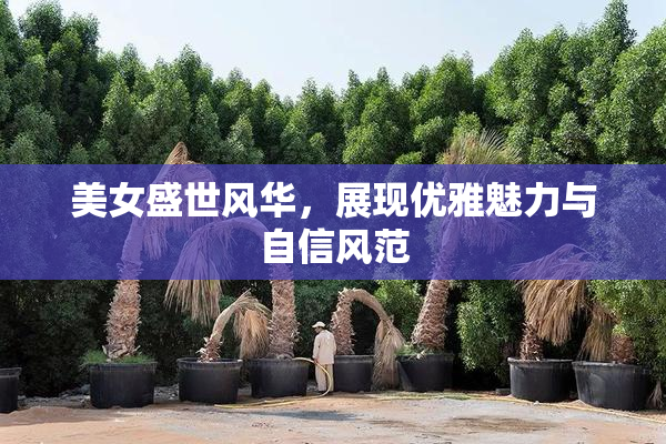 美女盛世风华，展现优雅魅力与自信风范
