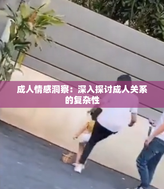 成人情感洞察：深入探讨成人关系的复杂性