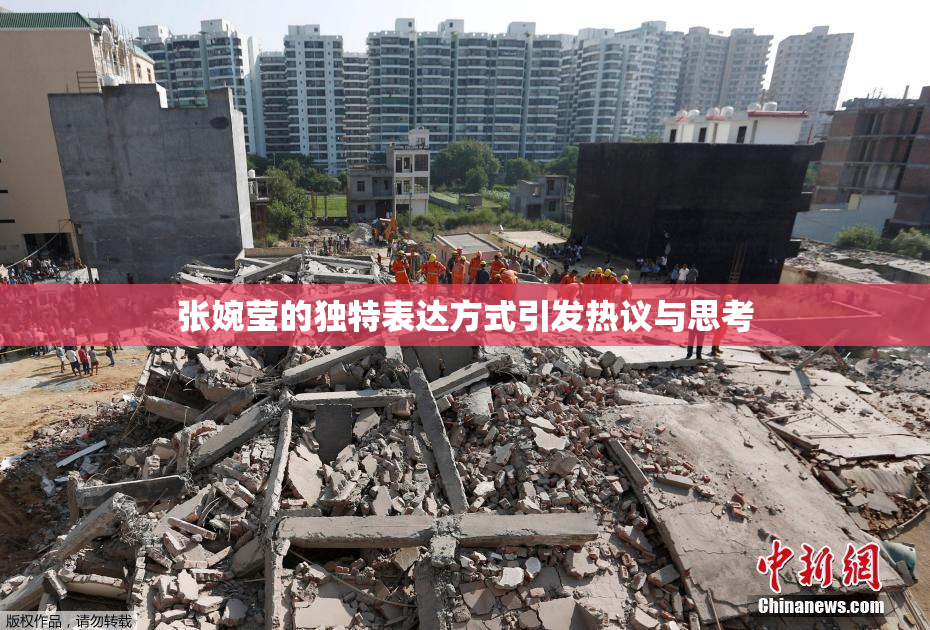 张婉莹的独特表达方式引发热议与思考