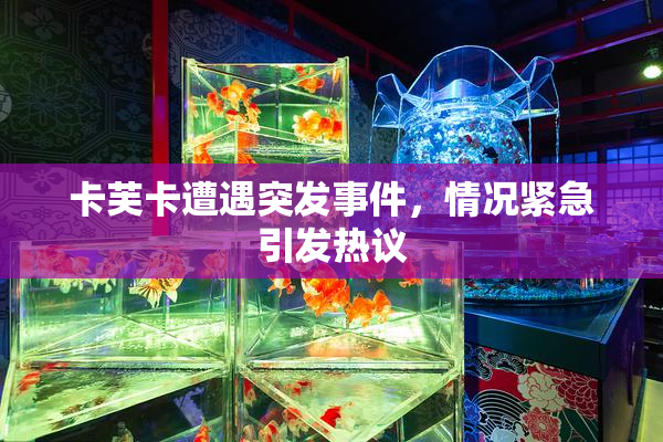 卡芙卡遭遇突发事件，情况紧急引发热议