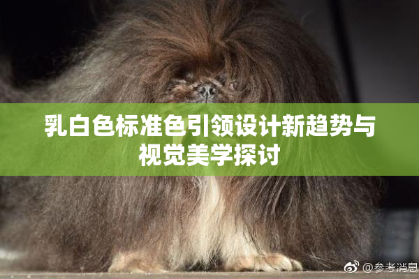 乳白色标准色引领设计新趋势与视觉美学探讨