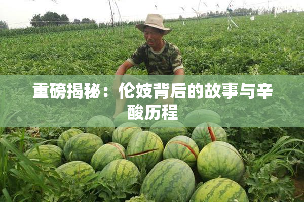 重磅揭秘：伦妓背后的故事与辛酸历程