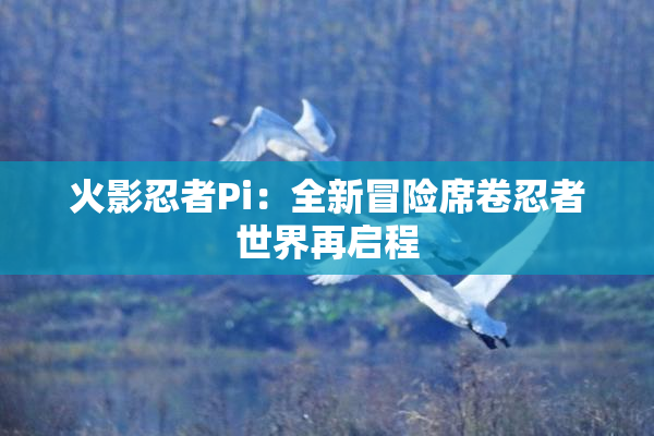 火影忍者Pi：全新冒险席卷忍者世界再启程