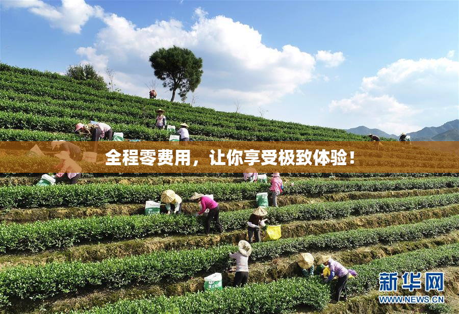 全程零费用，让你享受极致体验！
