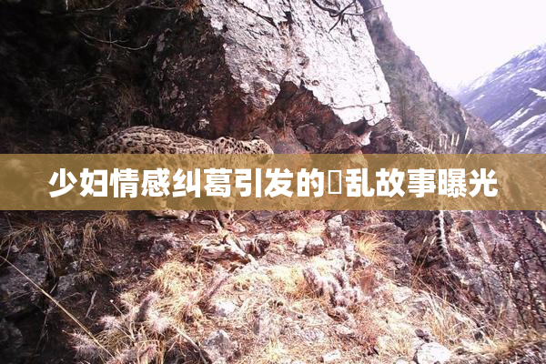 少妇情感纠葛引发的婬乱故事曝光