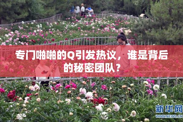 专门啪啪的Q引发热议，谁是背后的秘密团队？