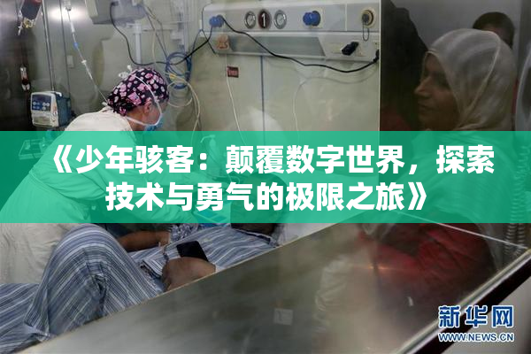 《少年骇客：颠覆数字世界，探索技术与勇气的极限之旅》