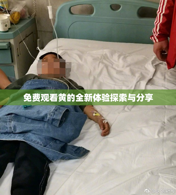 免费观看黄的全新体验探索与分享