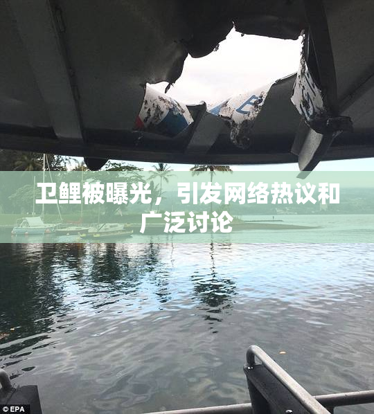 卫鲤被曝光，引发网络热议和广泛讨论