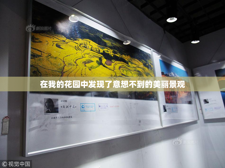 在我的花园中发现了意想不到的美丽景观