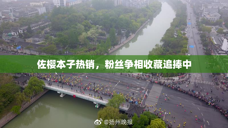 佐樱本子热销，粉丝争相收藏追捧中