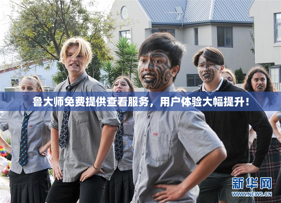 鲁大师免费提供查看服务，用户体验大幅提升！