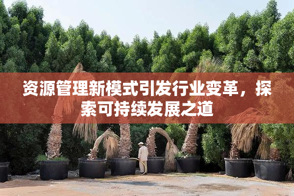 资源管理新模式引发行业变革，探索可持续发展之道