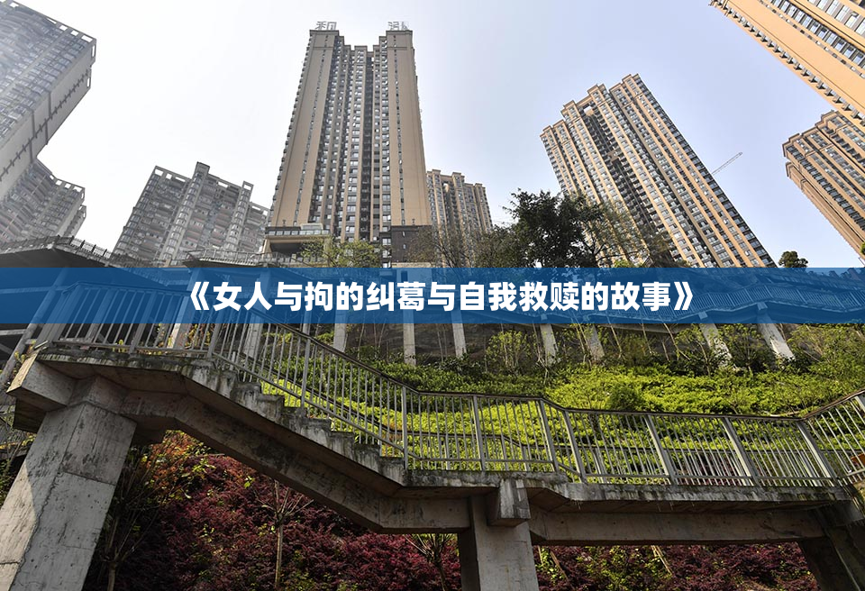 《女人与拘的纠葛与自我救赎的故事》