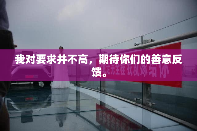 我对要求并不高，期待你们的善意反馈。